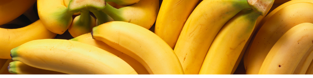exportaciones de bananas