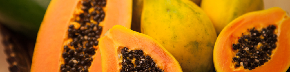 exportaciones de papaya