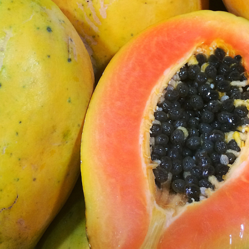 exportaciones-de-frutas-tropicales (1)