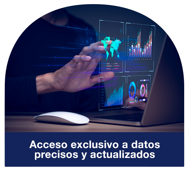 informacion de importaciones y exportaciones