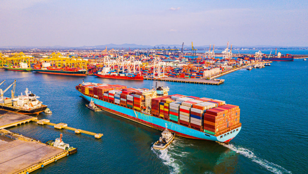 exportaciones datasur
