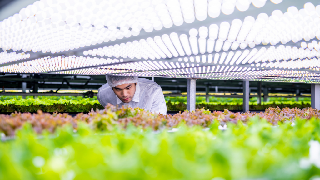 exportaciones agroalimentarias datasur