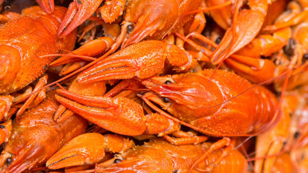 importaciones mariscos chile datasur