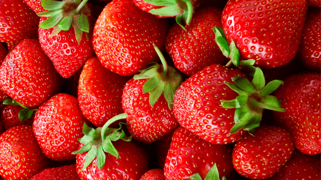 exportaciones frutilla chile datasur