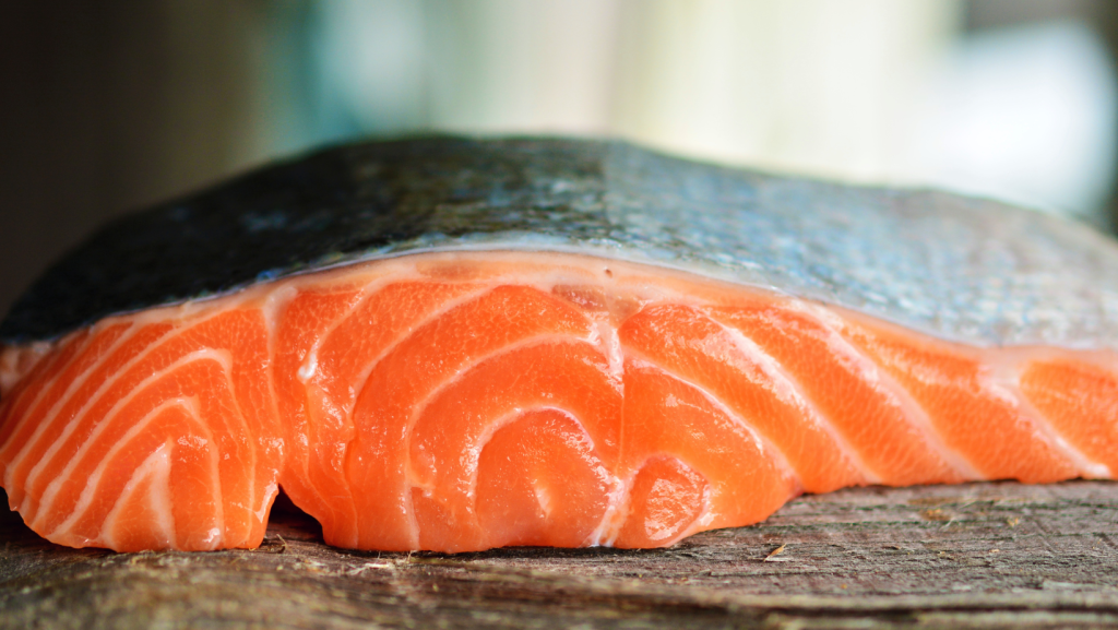 exportaciones de salmon datasur