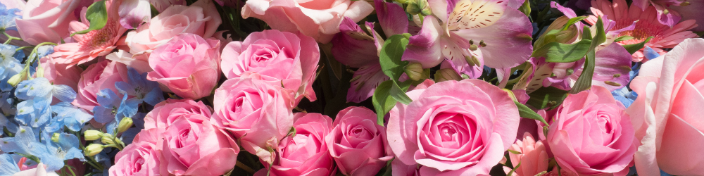 importaciones de san valentín