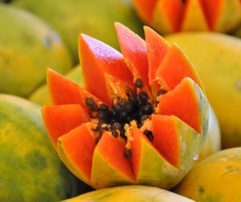 exportaciones de papayas