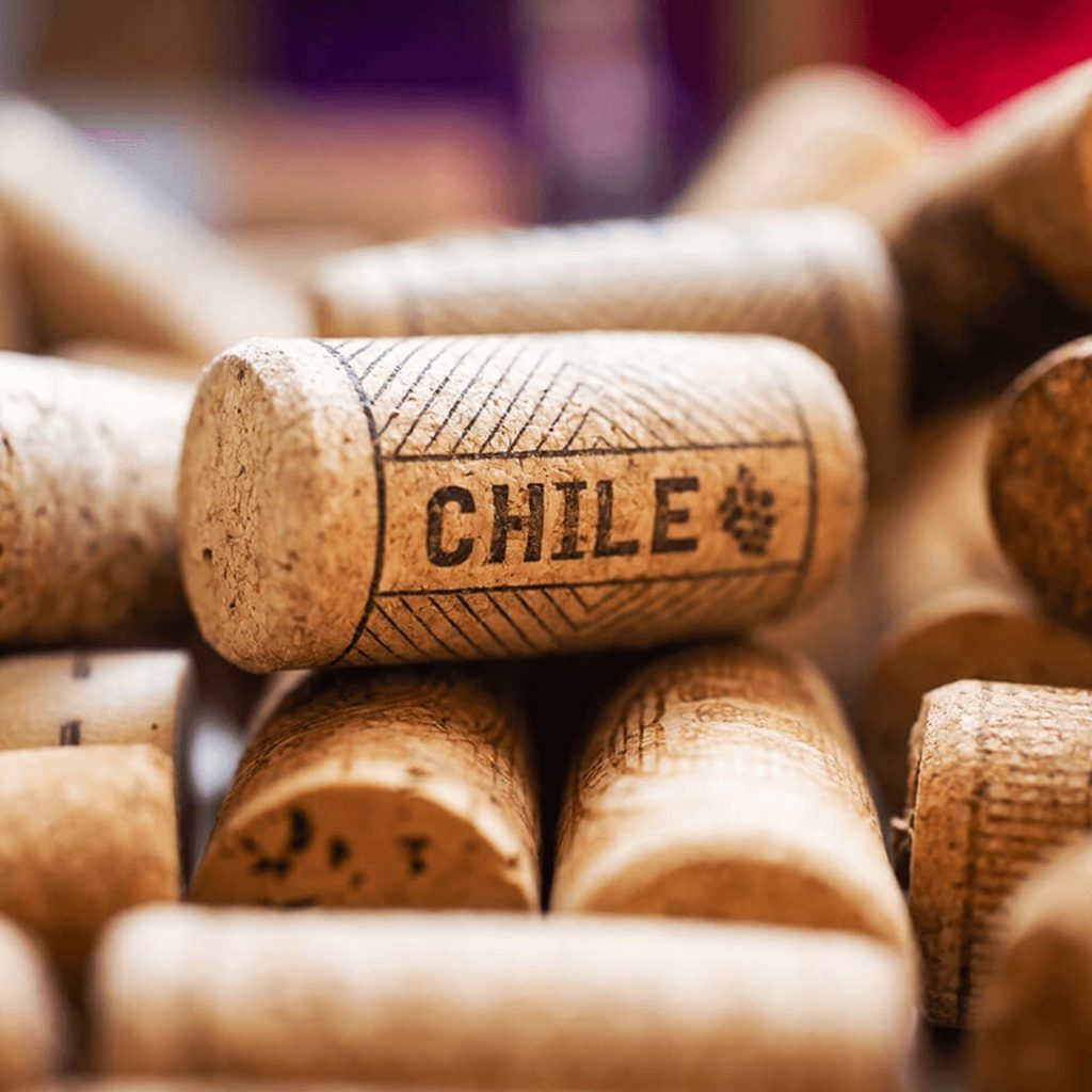 Las empresas exportadoras de vino en chile más representativo.