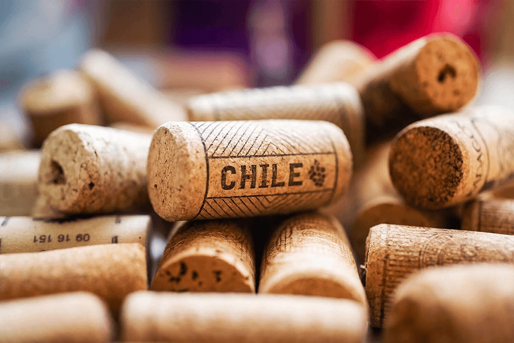 Empresas destacas en exportación del vino en Chile.