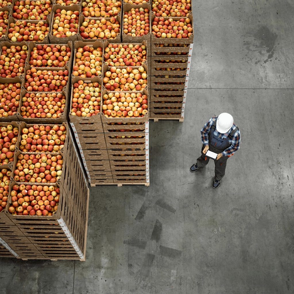 Productos agrícolas en América Latina