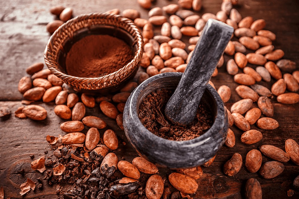 Exportación desde cacao peruano desde Ecuador y los compradores más representativos del mercado.