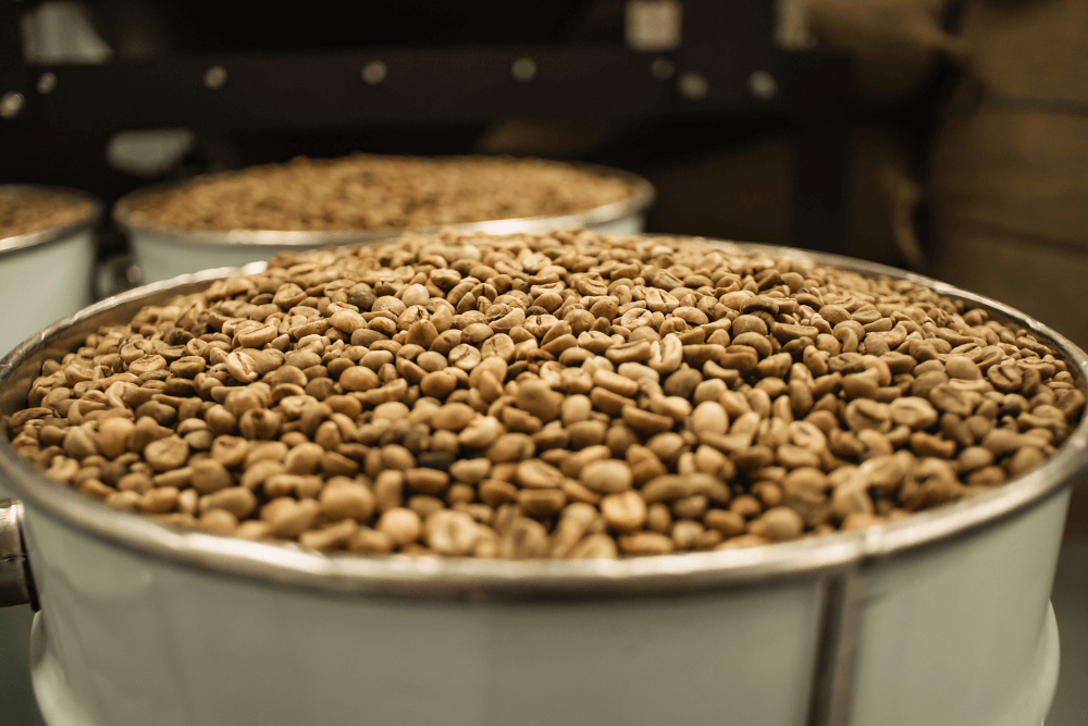 Exportación de café. Las mejores regiones que exportan al mercado de Estados Unidos
