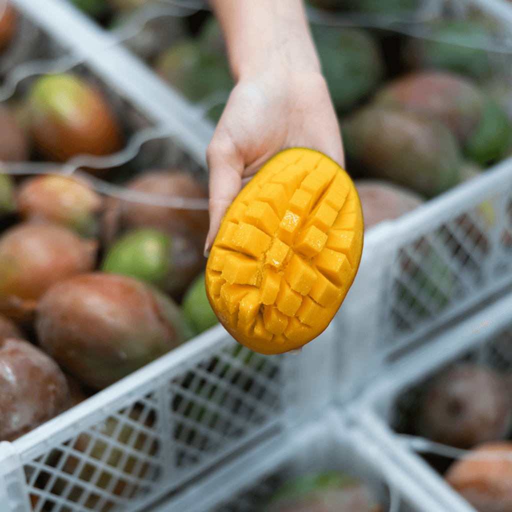exportación de mango en el mercado internacional.