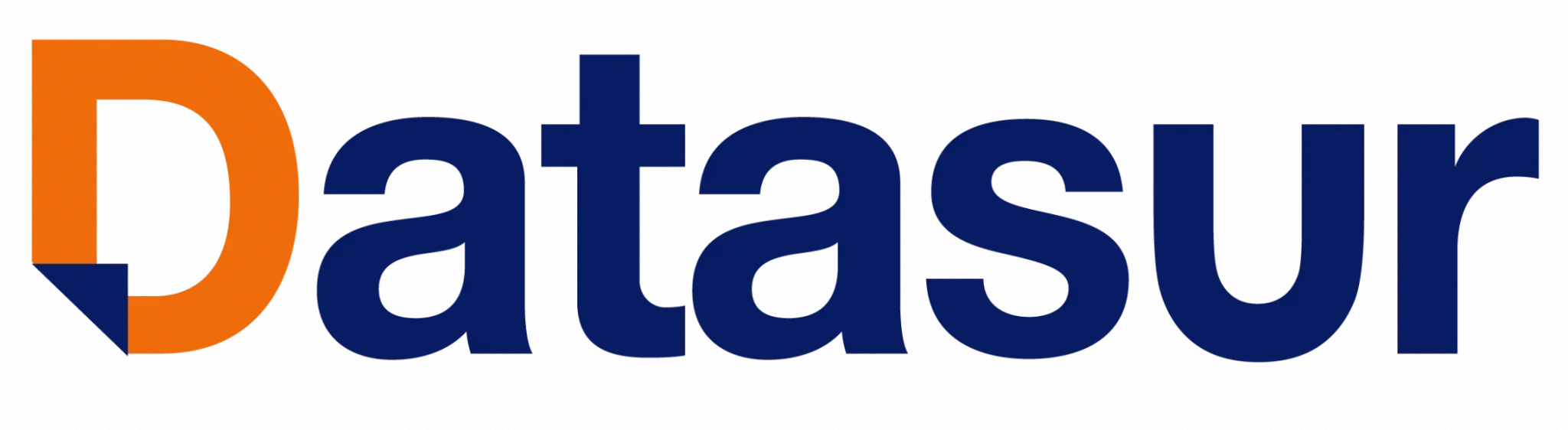 Logo Datasur