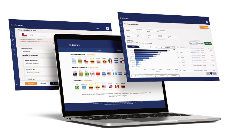 software de comercio exterior D-Comex