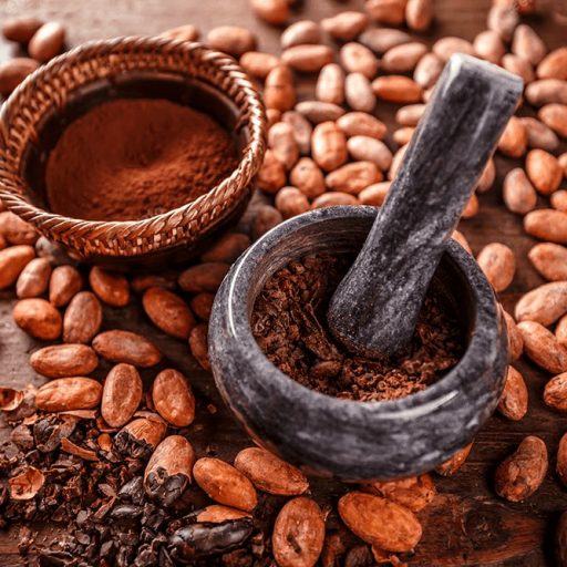Exportación desde cacao peruano desde Ecuador y los compradores más representativos del mercado.