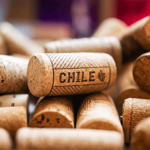 Empresas destacas en exportación del vino en Chile.