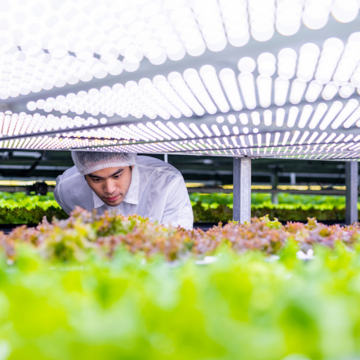 exportaciones-agroalimentarias-datasur