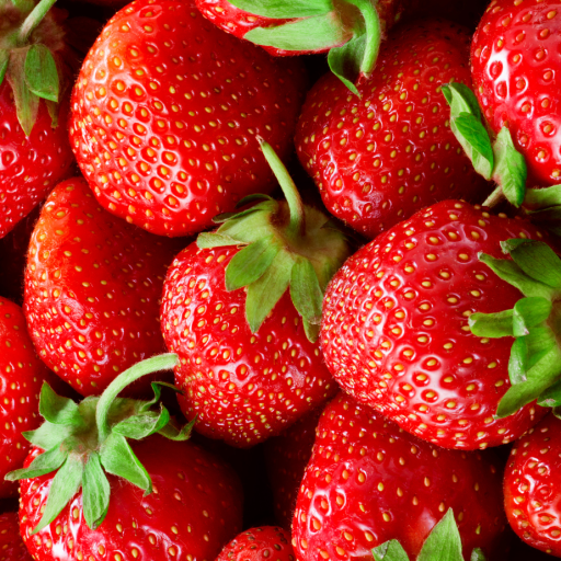 exportaciones-frutilla-chile-datasur