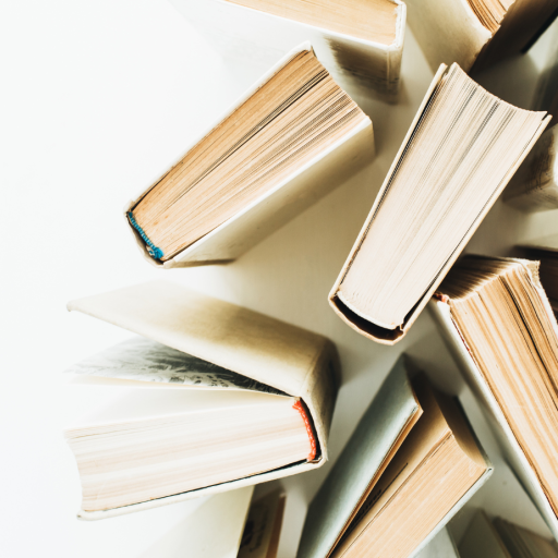exportaciones-libros-datasur
