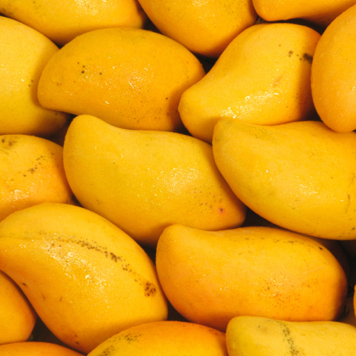 exportaciones-mango-peruano-datasur