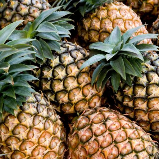 exportaciones-piña-costa-rica-datasur