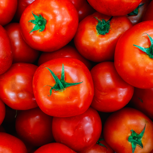 exportaciones-tomate-mexico-datasur