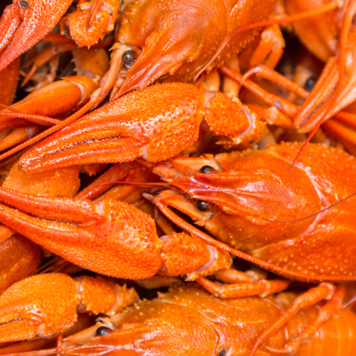 importaciones-mariscos-chile-datasur