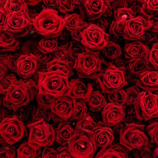 mercado_rosas_ colombiano (1)